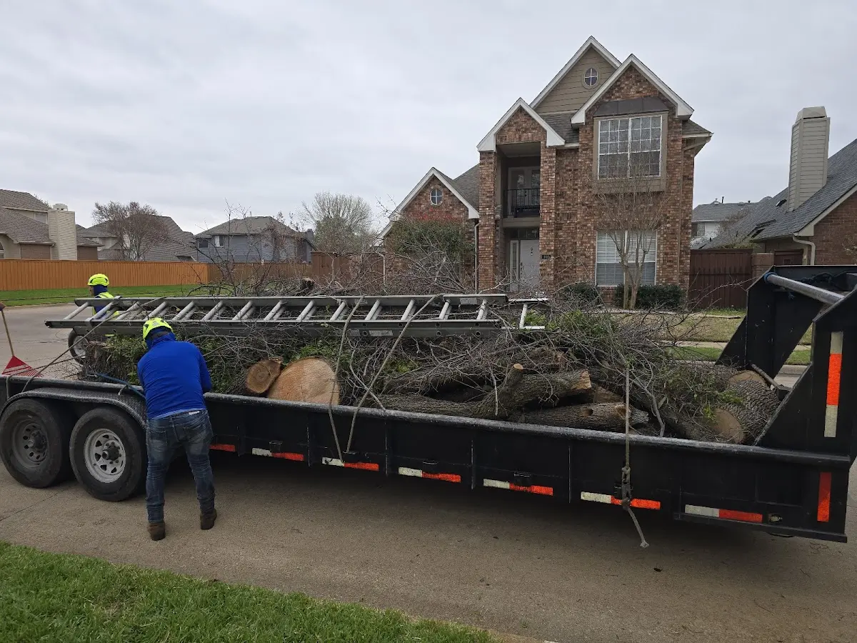 Expert Lot Clearing with proper safety equipment in Waretown